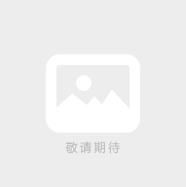 定制特殊電磁鐵