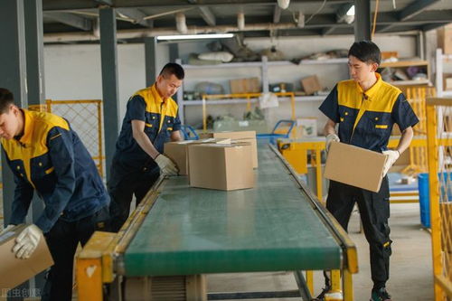 進(jìn)工廠還是送外賣 哪個(gè)更賺錢？年輕人如何選擇